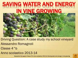 Saving water and energy in vine growing