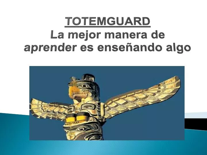 totemguard la mejor manera de aprender es ense ando algo