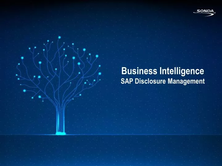 business intelligence sap disclosure management