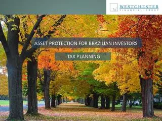 ASSET PROTECTION FOR BRAZILIAN INVESTORS