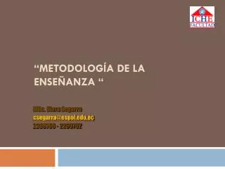 metodolog a de la ense anza
