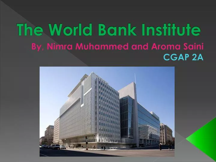 the world bank institute