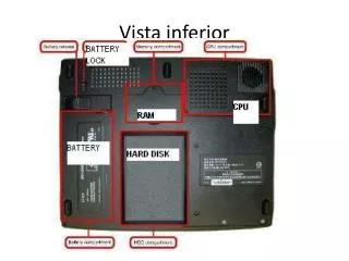 vista inferior
