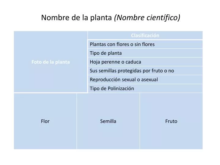 nombre de la planta nombre cient fico