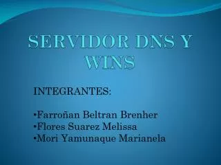 servidor dns y wins