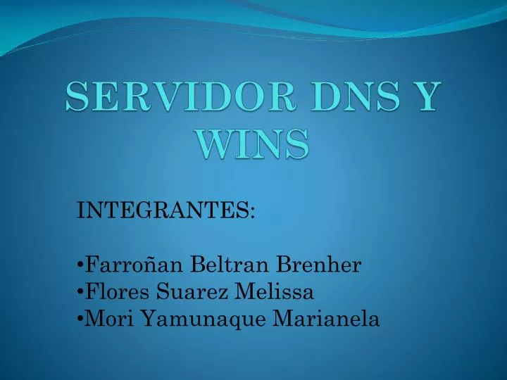 servidor dns y wins