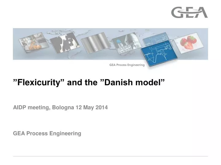 flexicurity and the danish model