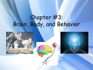 Chapter #3: Brain, Body, and Behavior