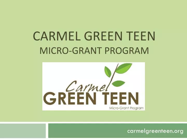 carmel green teen micro grant program