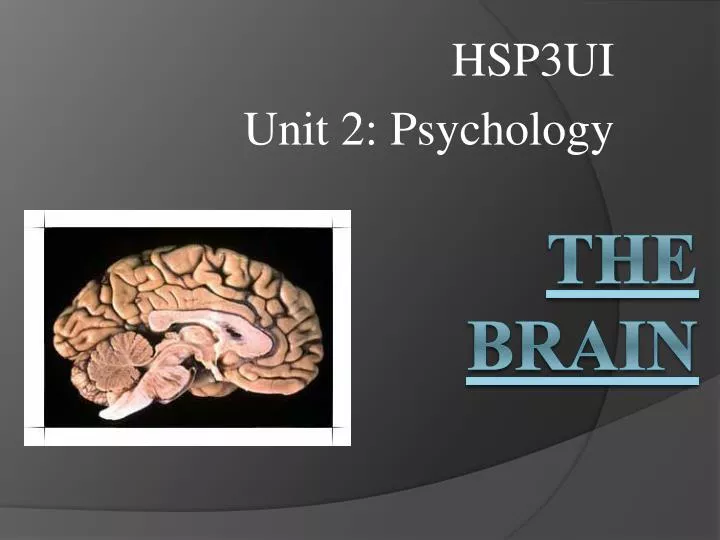 hsp3ui unit 2 psychology