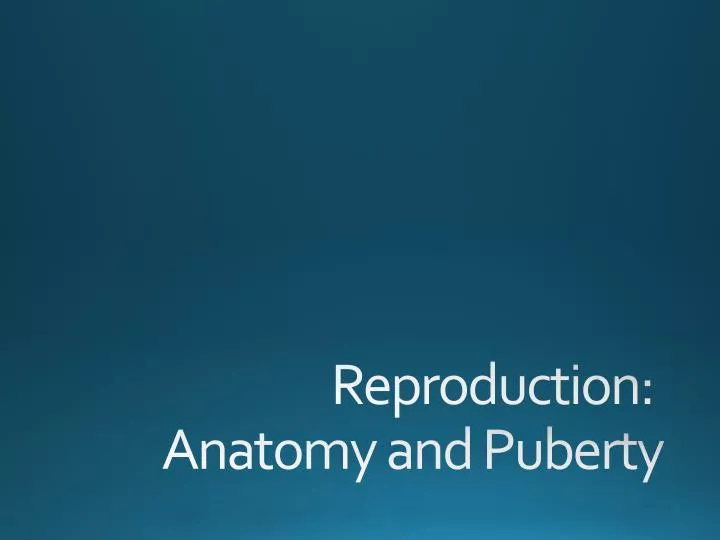reproduction anatomy and puberty