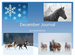 December Journal