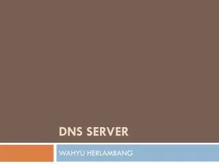 dns server