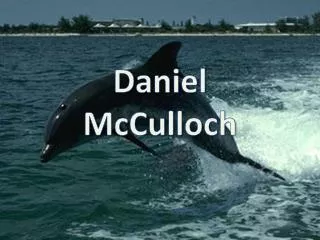 Daniel McCulloch