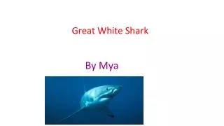 Great White Shark