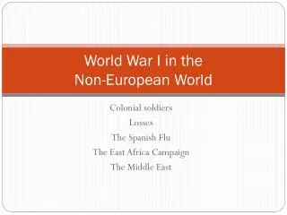 World War I in the Non-European World