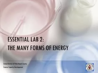 ESSENTIAL LAB 2: THE MANY FORMS OF ENERGY