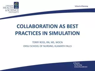 COLLABORATION AS BEST PRACTICES IN SIMULATION
