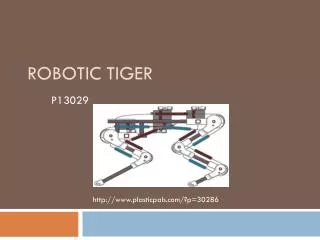 Robotic Tiger