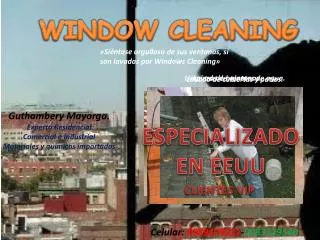 WINDOW CLEANING
