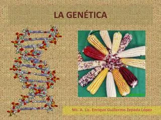 la gen tica