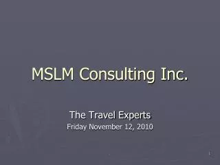 MSLM Consulting Inc.