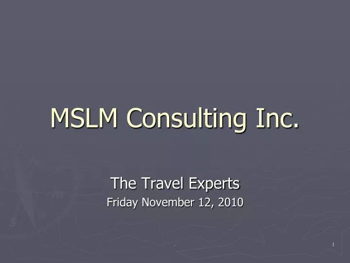 mslm consulting inc