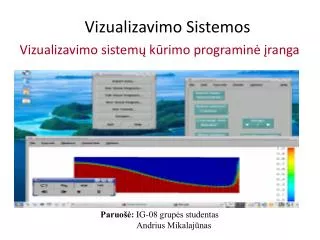vizualizavimo sistemos
