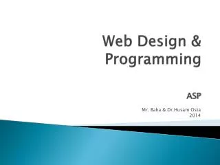 Web Design &amp; Programming