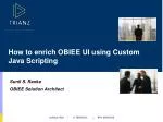 How to enrich OBIEE UI using Custom Java Scripting - slide 1