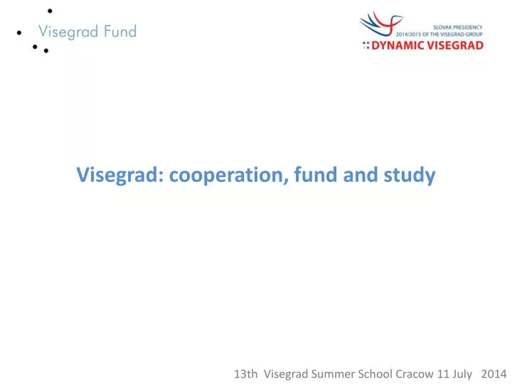 visegrad cooperation fund and study