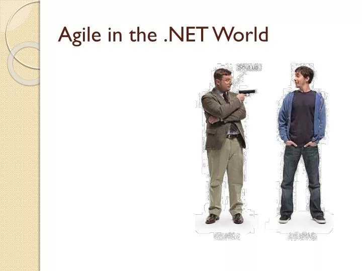 agile in the net world