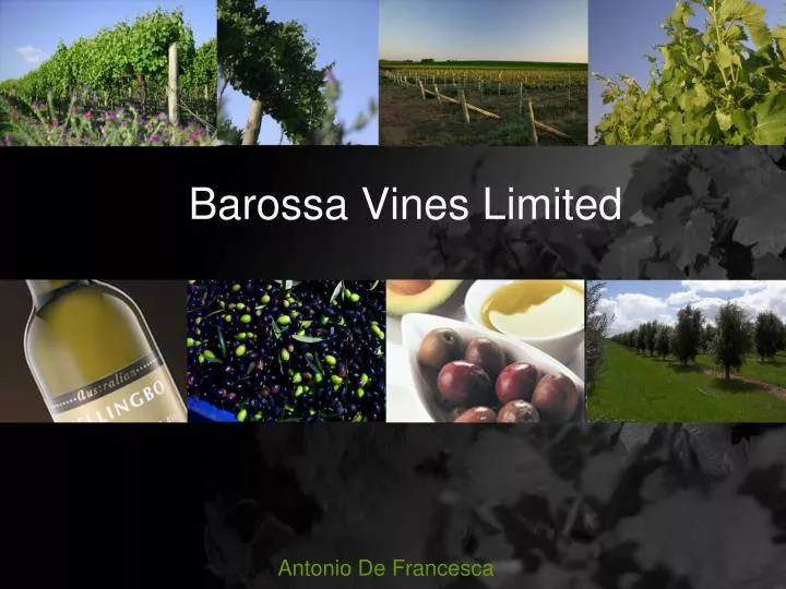 barossa vines limited