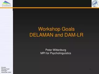 Workshop Goals DELAMAN and DAM-LR