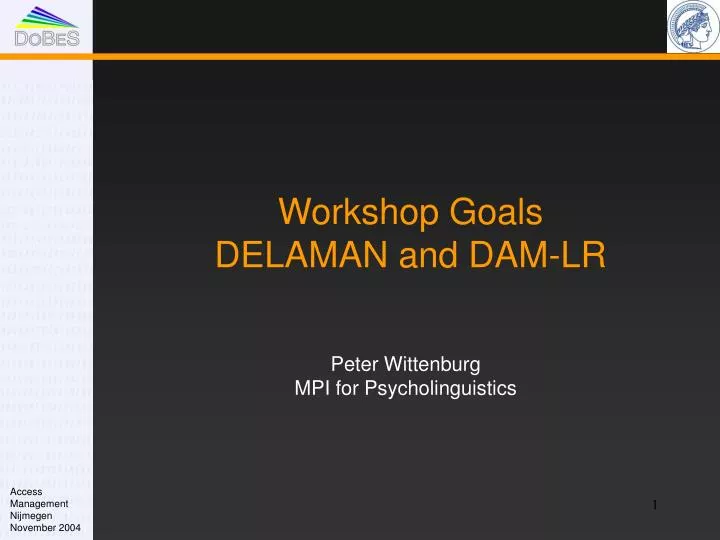 workshop goals delaman and dam lr