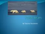 Polar bears - slide 1