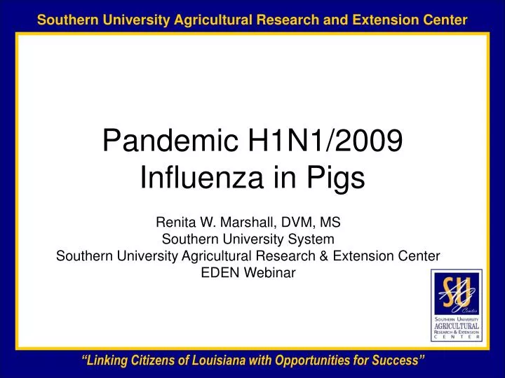 pandemic h1n1 2009 influenza in pigs