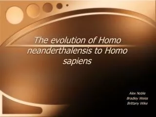 The evolution of Homo neanderthalensis to Homo sapiens