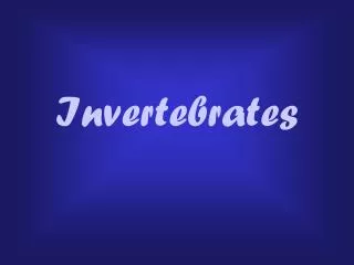 Invertebrates