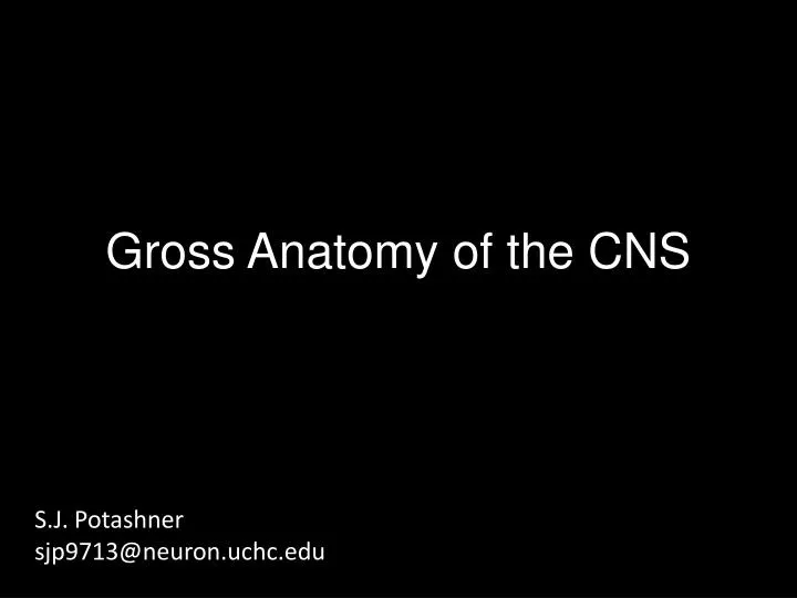 gross anatomy of the cns