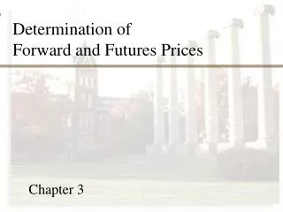 Determination of Forward and Futures Prices