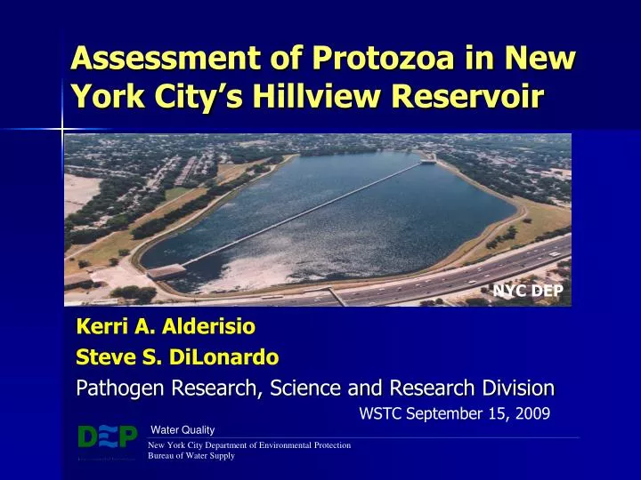 assessment of protozoa in new york city s hillview reservoir