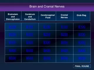 Brain and Cranial Nerves