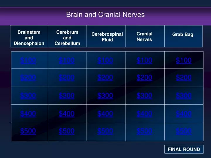 brain and cranial nerves