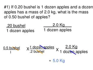 #1) If 0.20 bushel is 1 dozen apples and a dozen apples has a mass of 2.0 kg, what is the mass