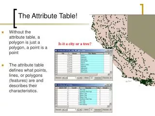 The Attribute Table!