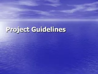 Project Guidelines