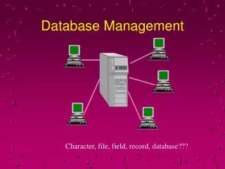 Database Management