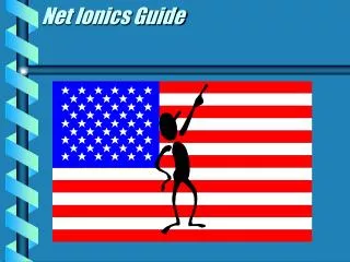 Net Ionics Guide