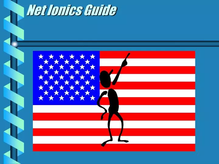 net ionics guide